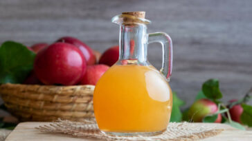 a bottle of raw unfiltered apple cider vinegar _ - Why apple cider vinegar is good for humans?