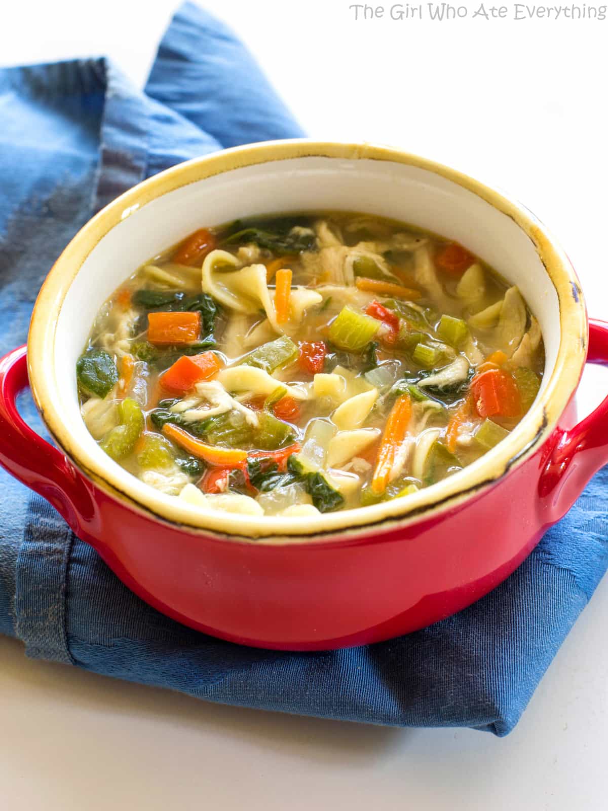 Healthy Vegetable Chicken Soup - this soup is FULL of veggies and great to detox when you need to eat healthy! the-girl-who-ate-everything.com
