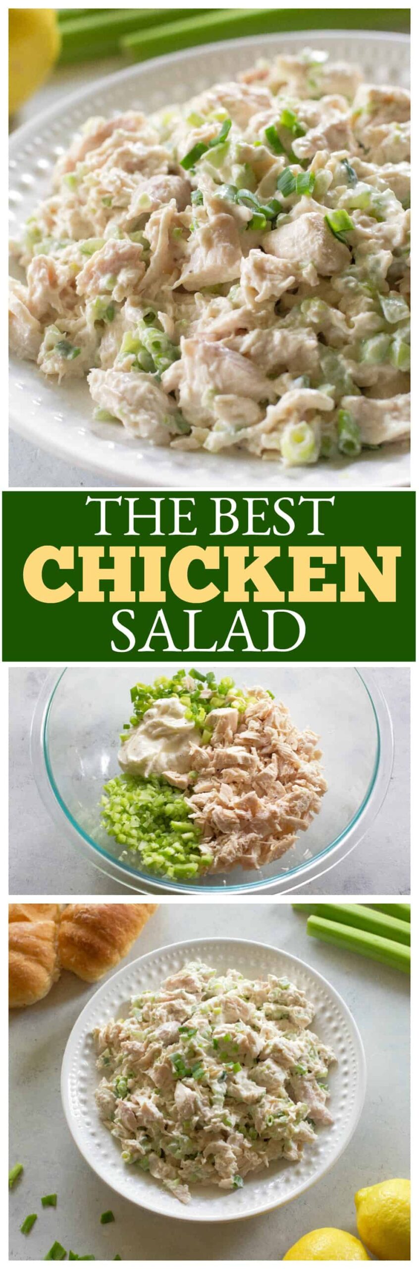 the best chicken salad scaled - Chicken Salad Recipe