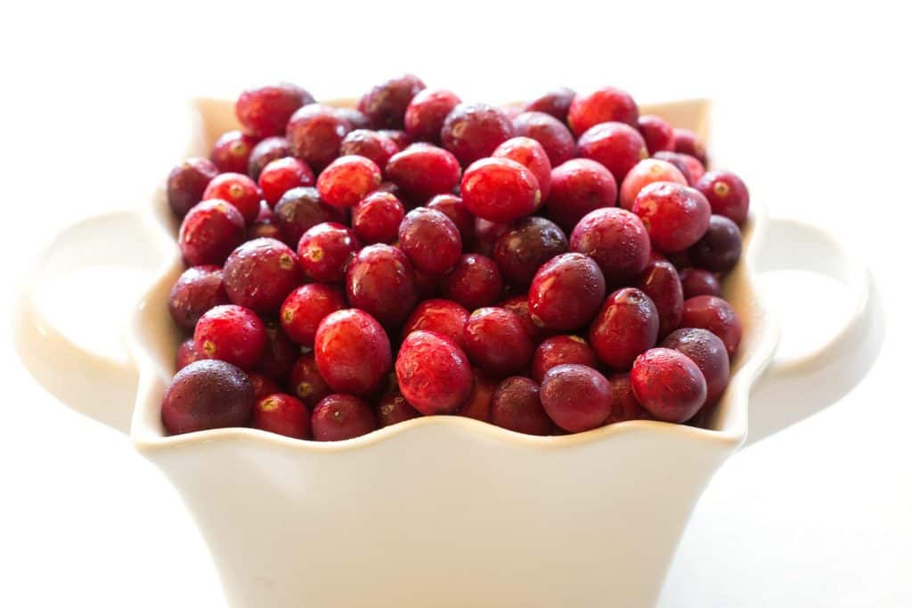 fb image - Cranberry Salsa