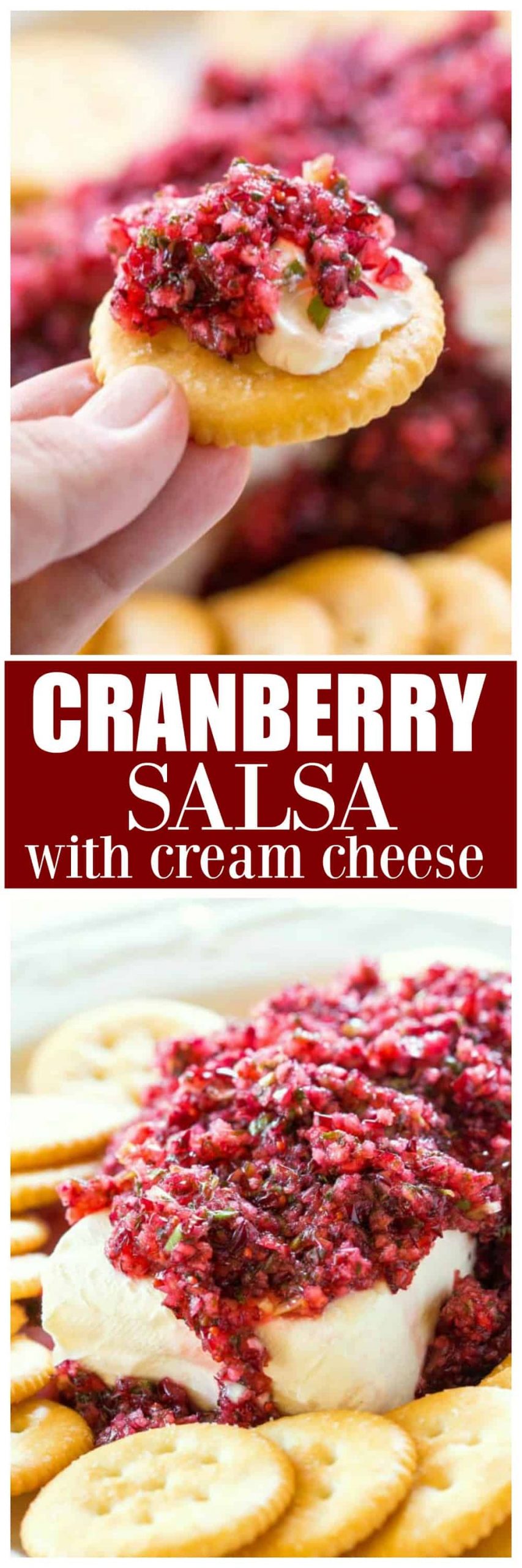 Cranberry Salsa - fb image 464 scaled