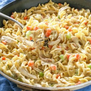 Creamy Chicken Noodle Skillet - dinner in under 20 minutes! the-girl-who-ate-everything.com