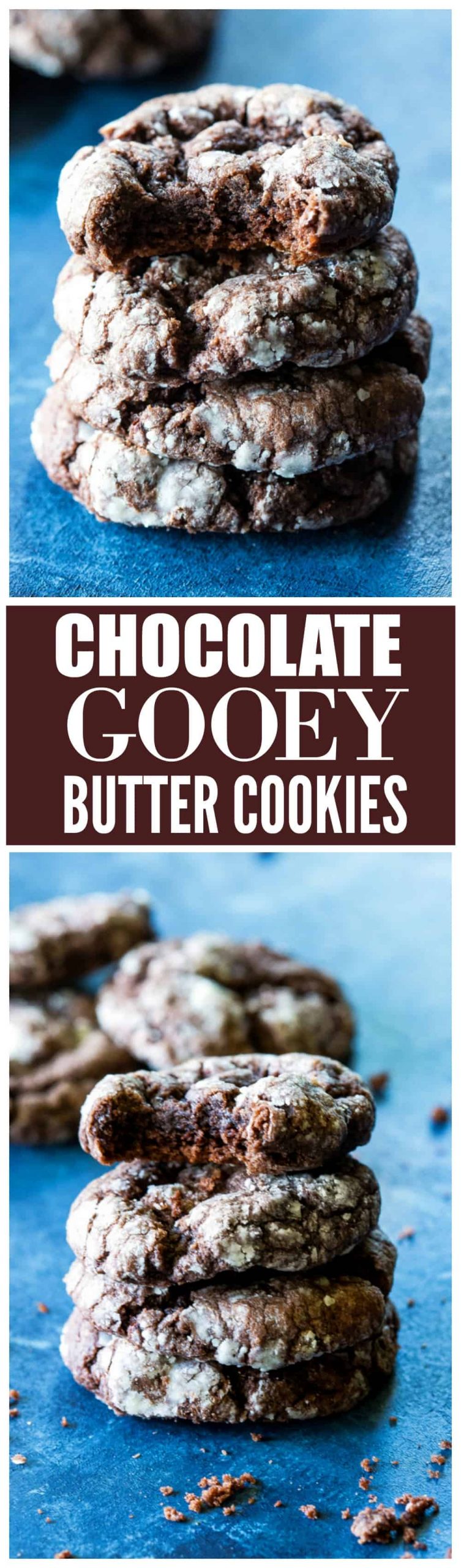 Chocolate Ooey Gooey Butter Cookies - so easy and so good. #chocolate #ooey #gooey #butter #cookies