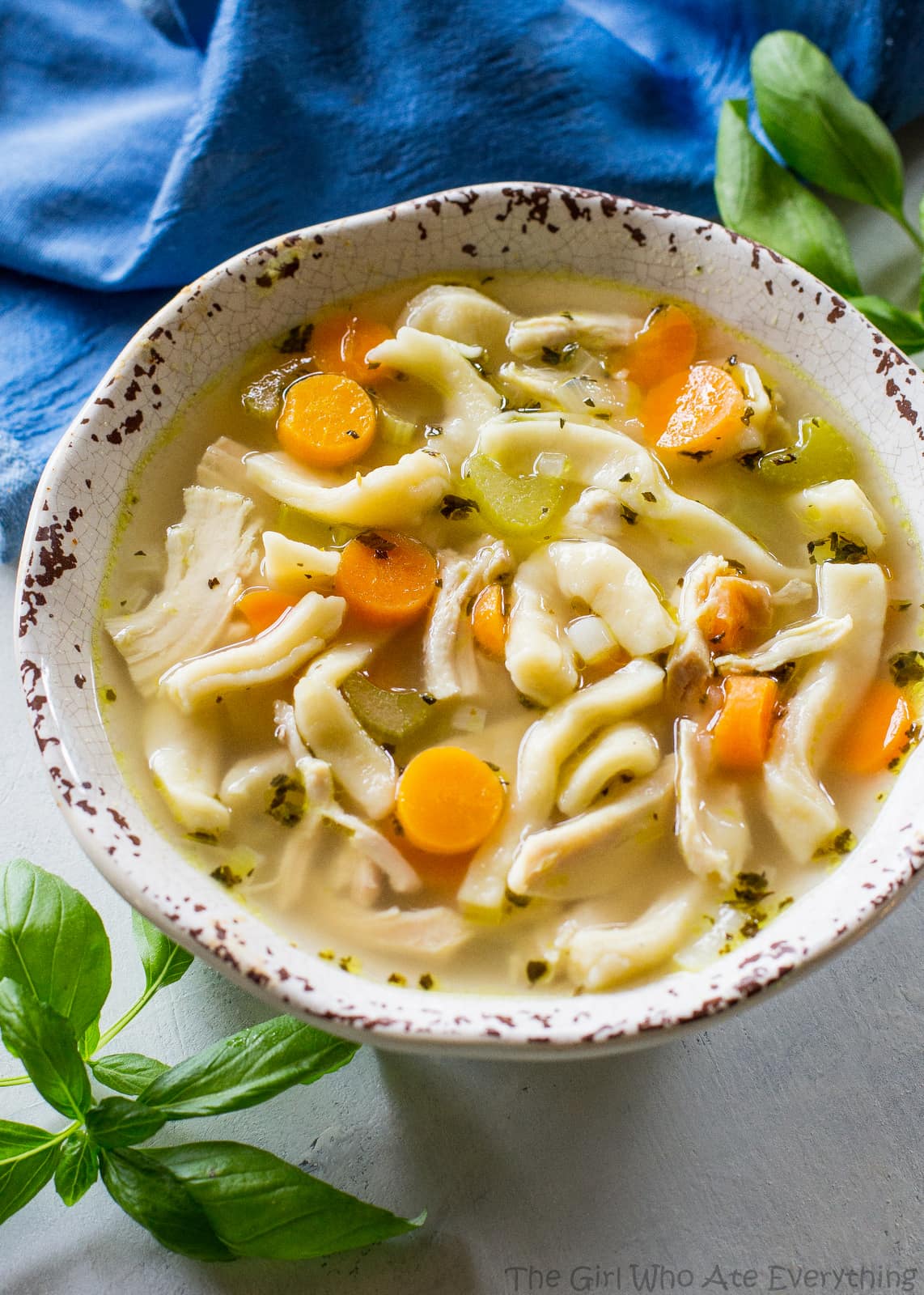 homemade chicken noodle soup - Chicken Noodle Soup