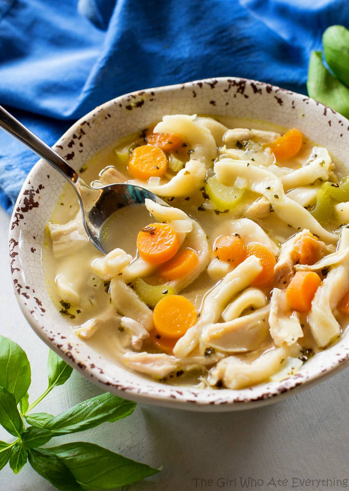 homemade chicken noodle soup - Chicken Noodle Soup