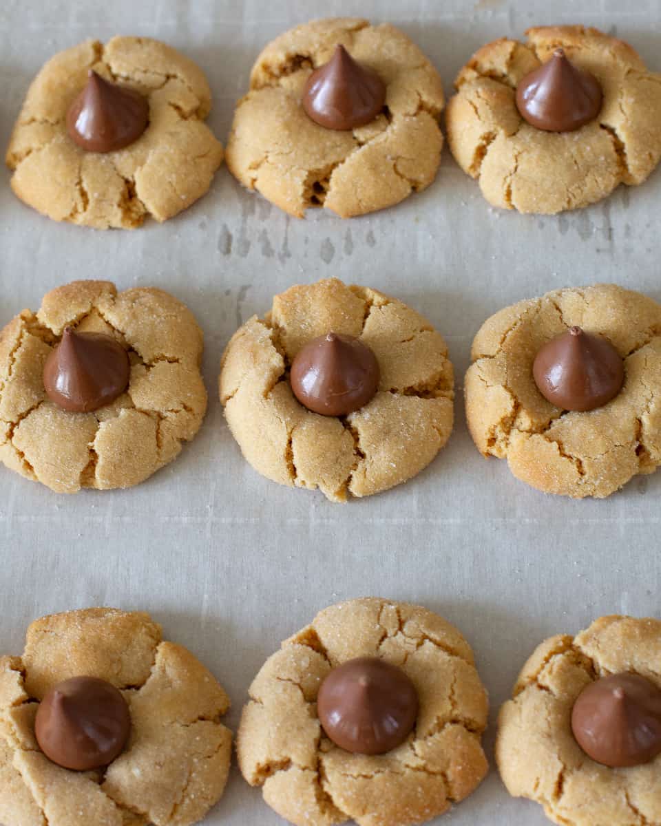 peanut butter blossoms - Peanut Butter Blossoms