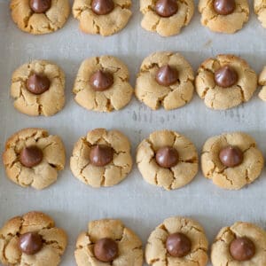 peanut butter blossoms - Peanut Butter Blossoms