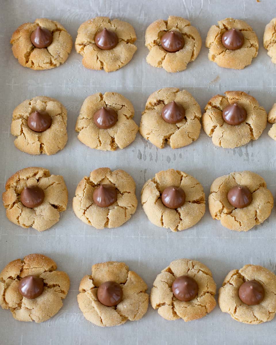 peanut butter blossoms - Peanut Butter Blossoms