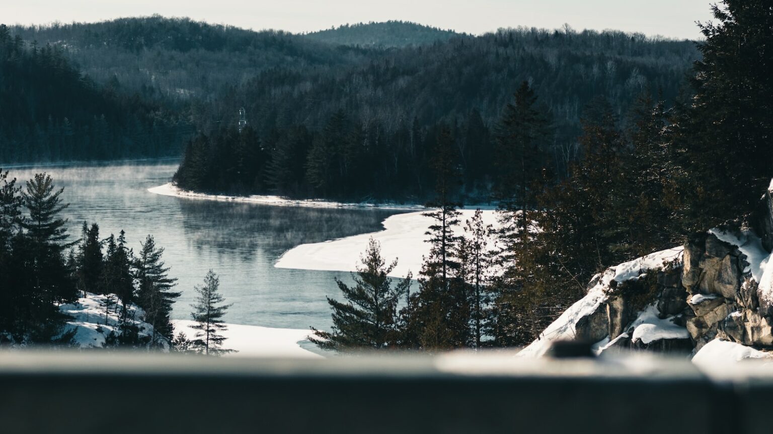 Keto Zucchini "Fries" A LowCarb Alternative to Delicious Fries