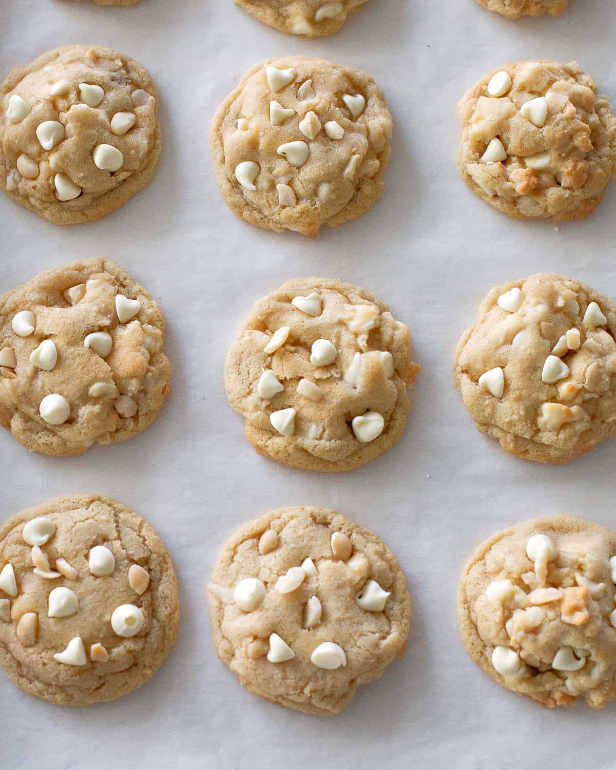 macadamia nut white chocolate cookies - White Chocolate Macadamia Nut Cookies