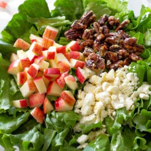 Pecan and Apple Salad is my go-to salad for potlucks. Candied pecans, fresh apples, and cheese make this salad unique and full of flavor! #apple #pecan #salad