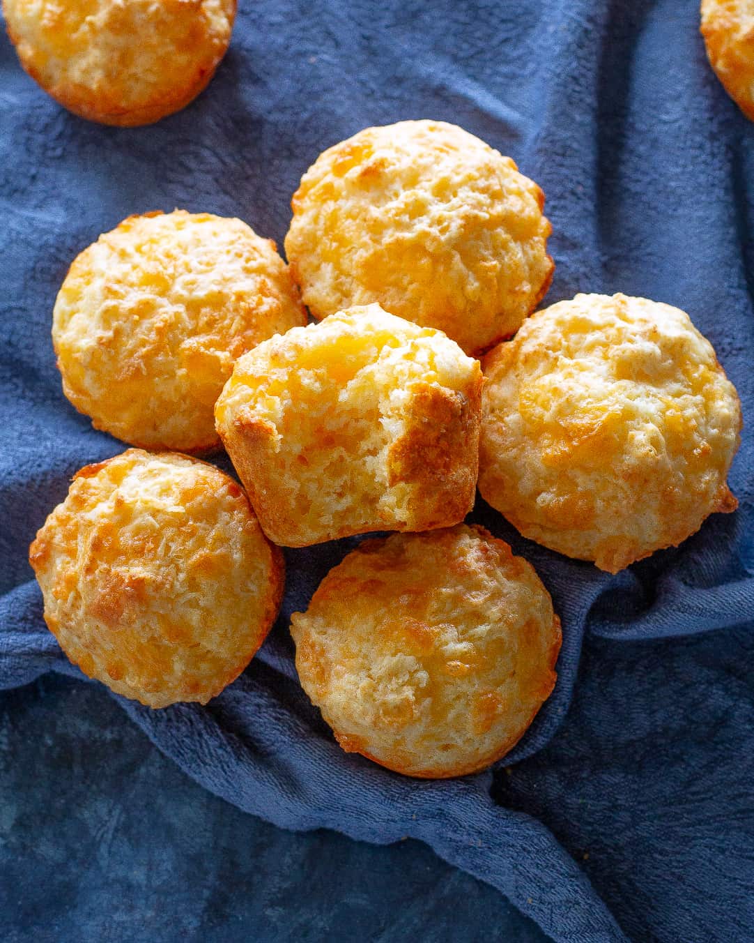 cheese muffins