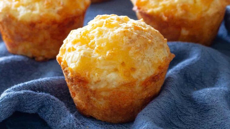 cheese muffins - Cheese Muffins