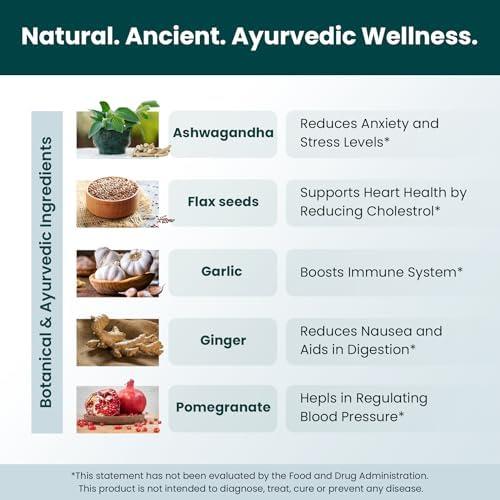 Unleashing Nature's⁤ Power: Our Take on 360 Greens Powder