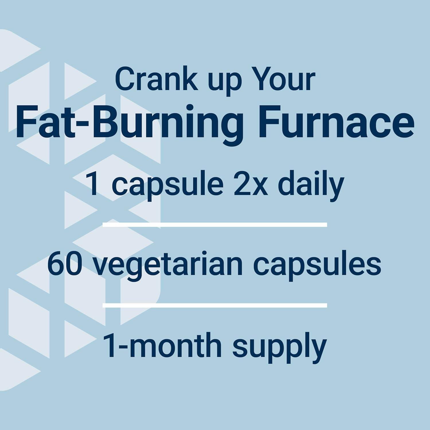 Discovering Life Extension’s 7-Keto DHEA: Our Journey to Fat Loss