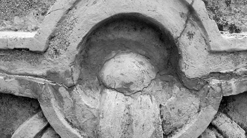 Keto-Friendly Chicken Salad Bowls: Under 10g Net Carbs, Gluten-Free & Meal Prep Ready!