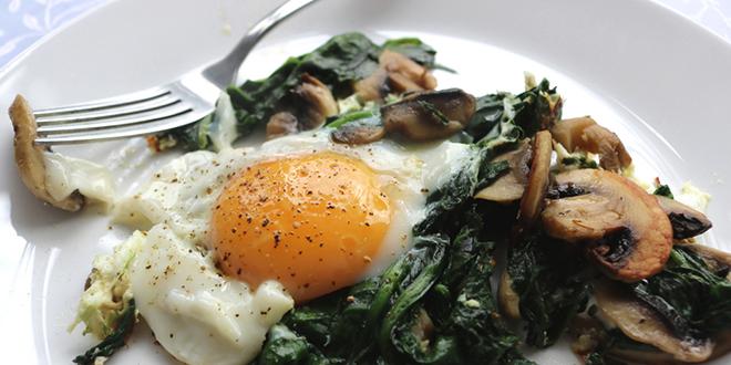 - 23704 42998585851 8b9c40cf5e o